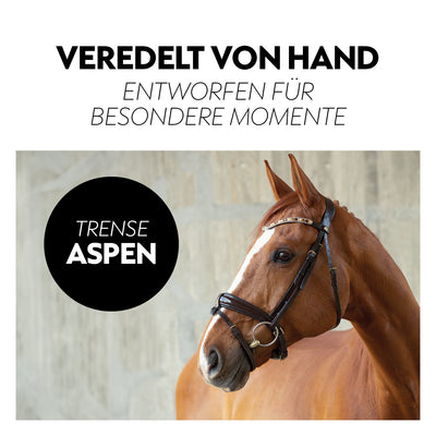 Swedish bridle "Aspen" with reins