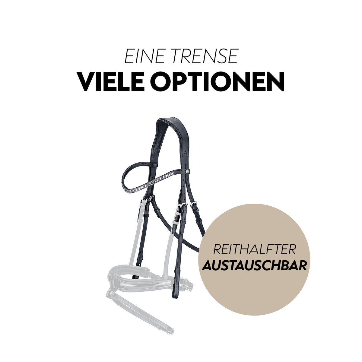 Swedish bridle "Aspen" with reins