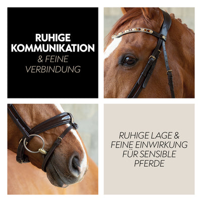 Swedish bridle "Aspen" with reins