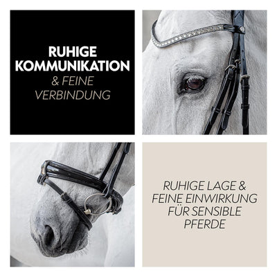 Swedish bridle "Aspen" with reins