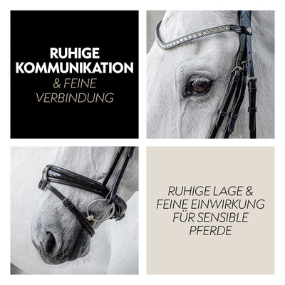 Swedish bridle "Aspen" with reins