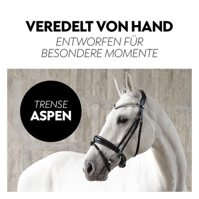 Swedish bridle "Aspen" with reins