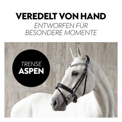 Swedish bridle "Aspen" with reins