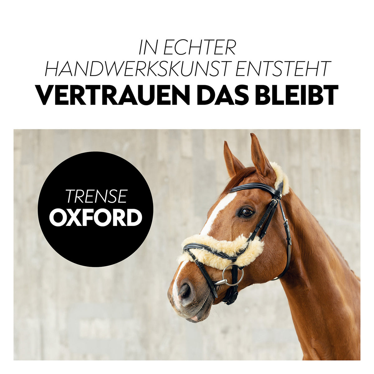 Swedish bridle "Oxford" with reins