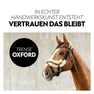 Swedish bridle "Oxford" with reins