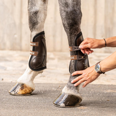 Leather jumping boots with fetlock boots (double Velcro, set of 4)