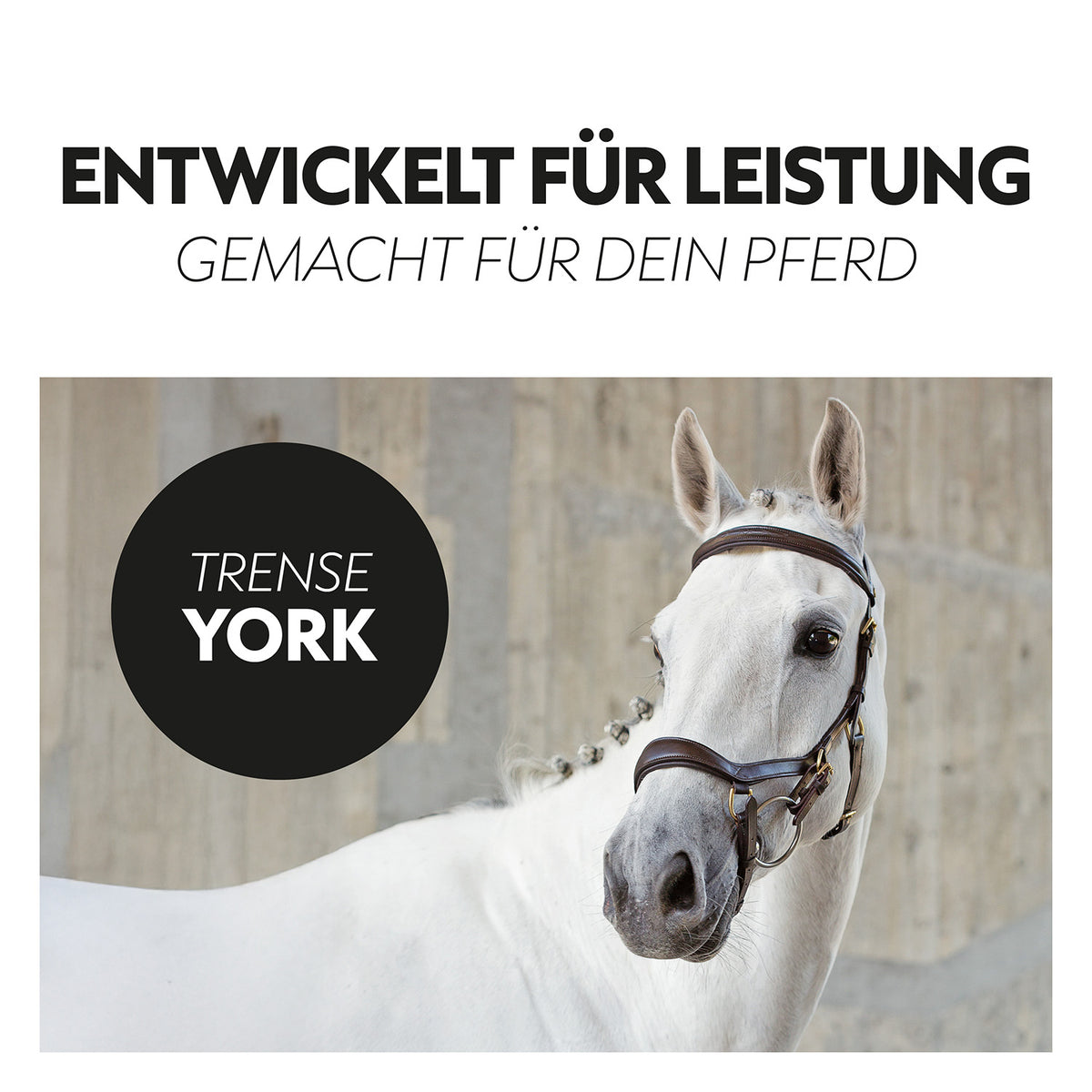 English combined bridle "York" with reins