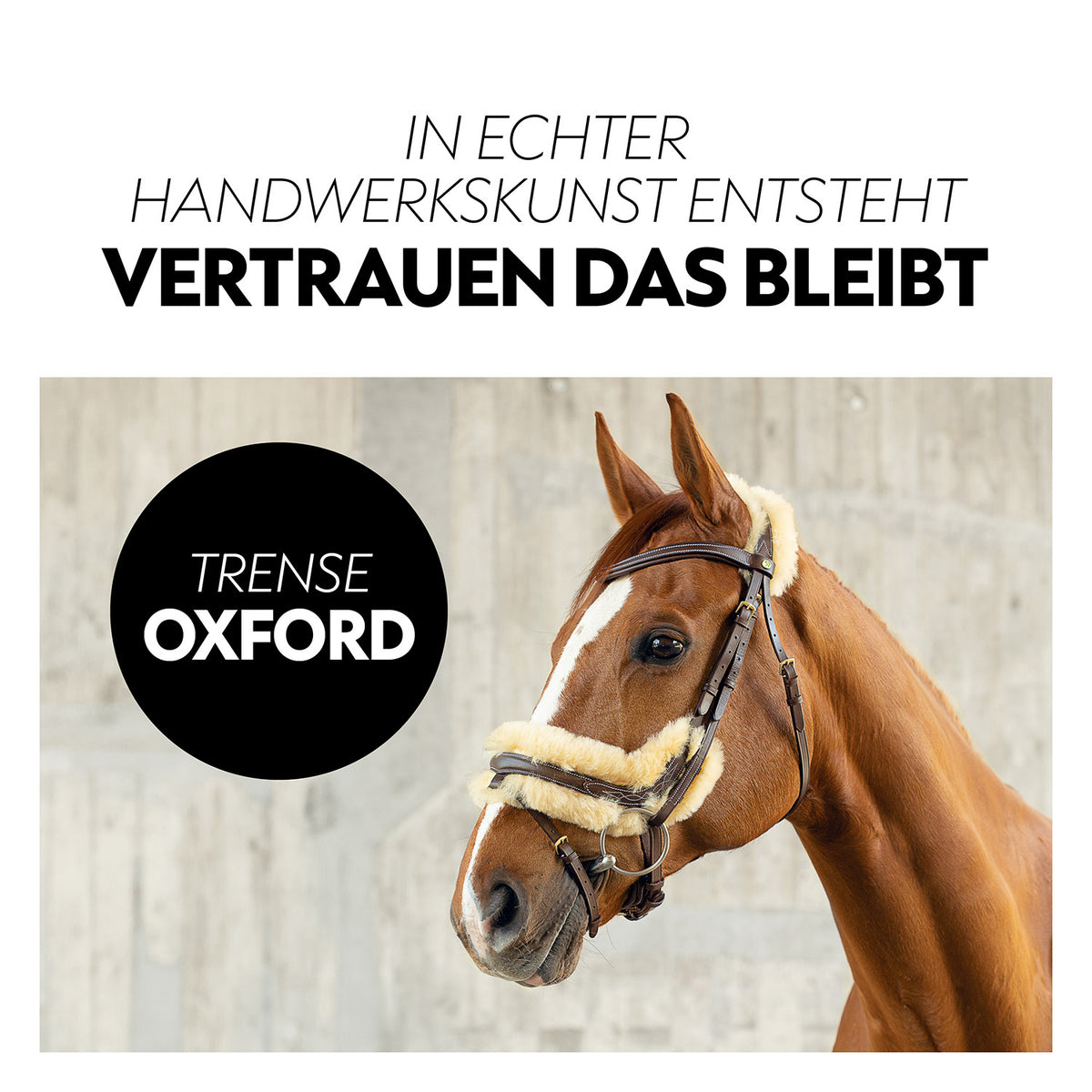Swedish bridle "Oxford" with reins