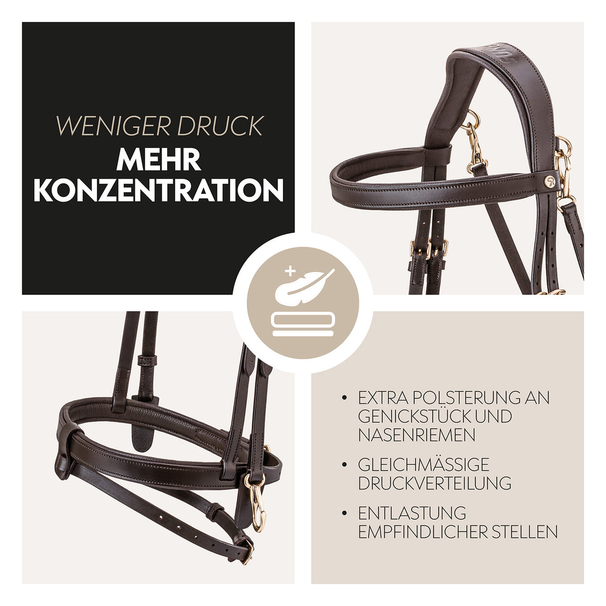 English combined bridle "Berlin" with reins