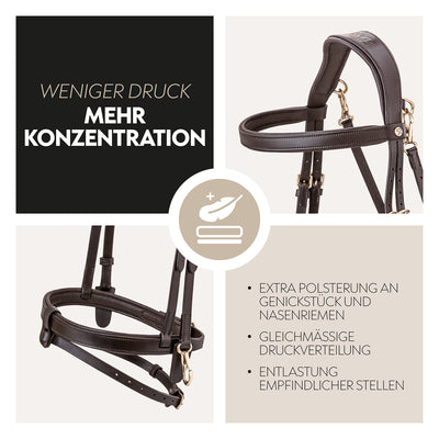 English combined bridle "Berlin" with reins