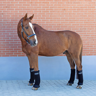 Stable bandages (set of 4)