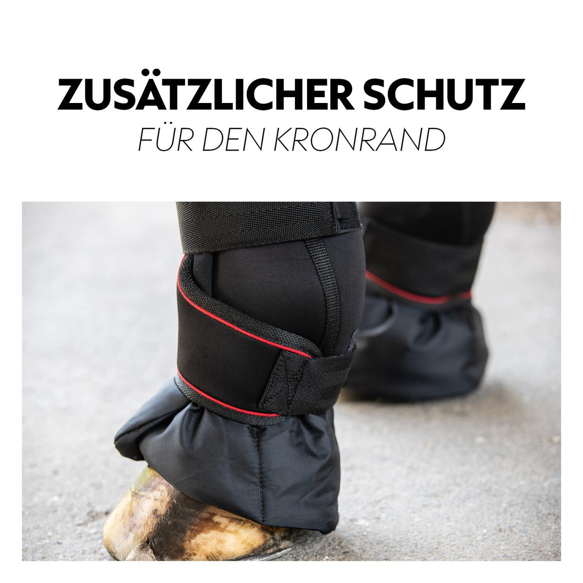 Stallgamaschen (2er Set) "ActiveCare"