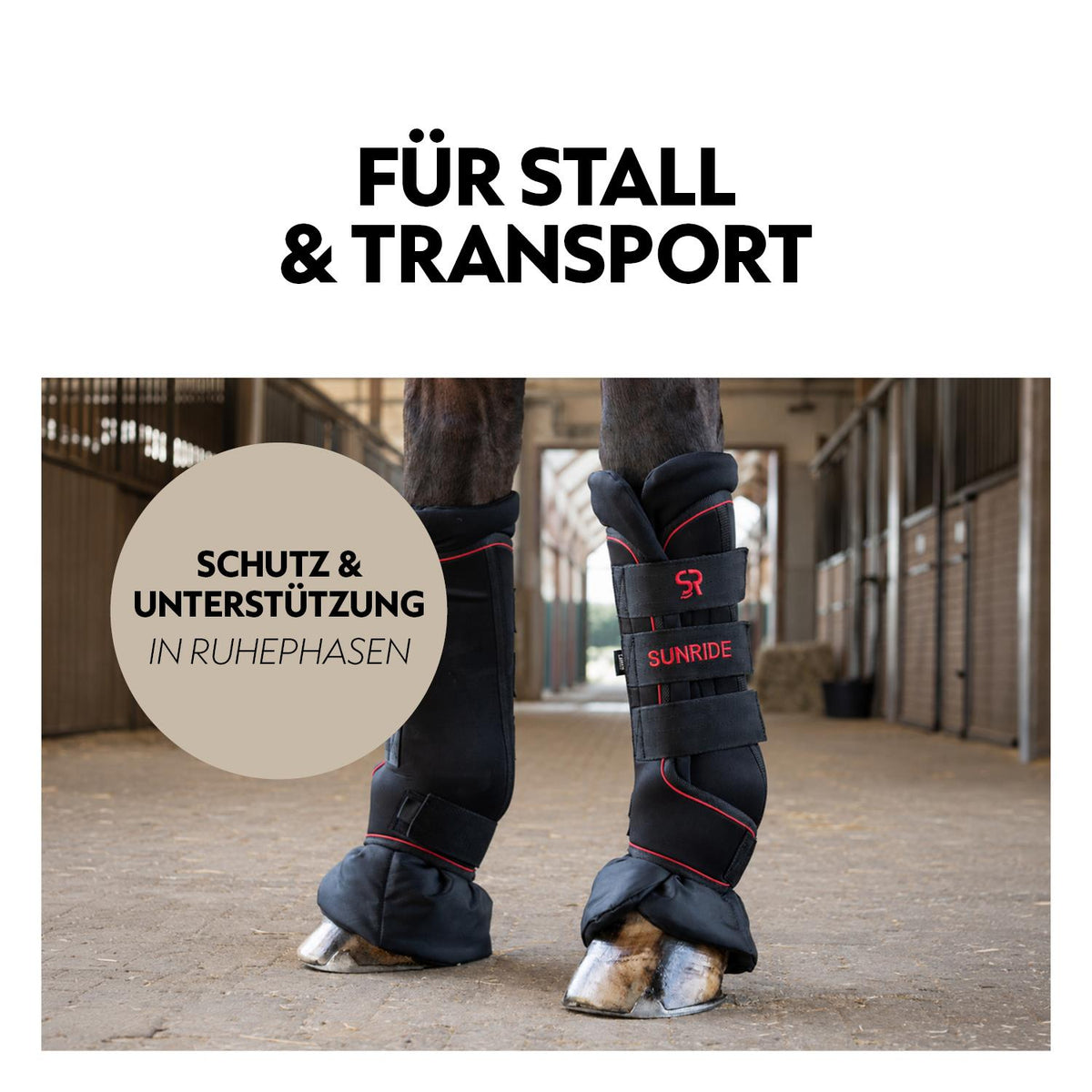 Stallgamaschen (2er Set) "ActiveCare"