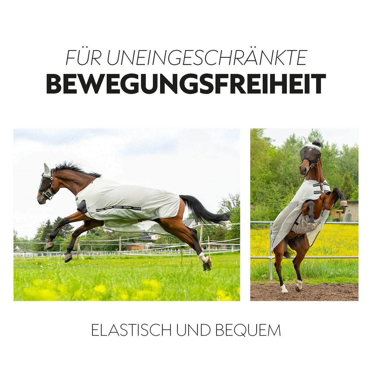 Fly Rug with removable Neck Part "Dubai"