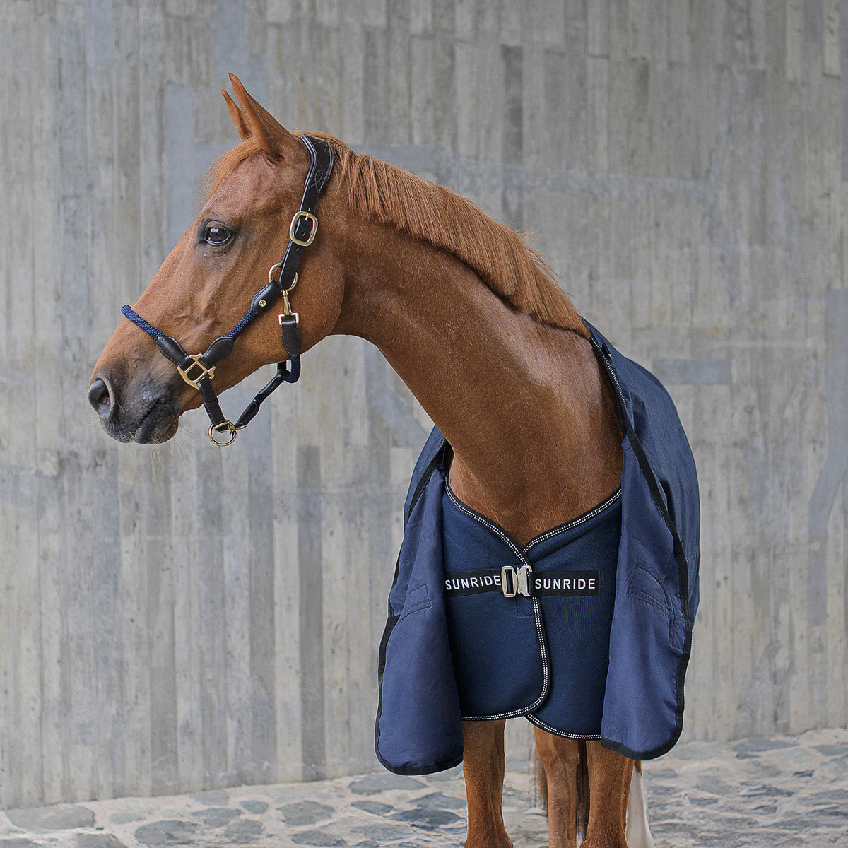 Underrug with fleece 50g "UltraDry"