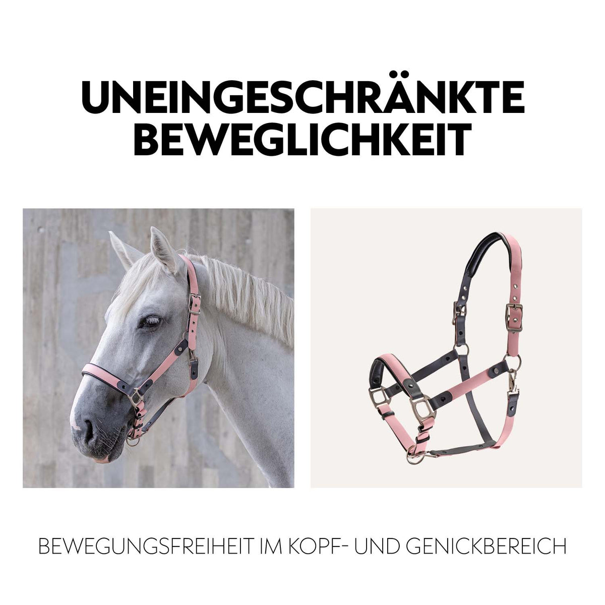 VeganFlex™ Halfter mit Strick