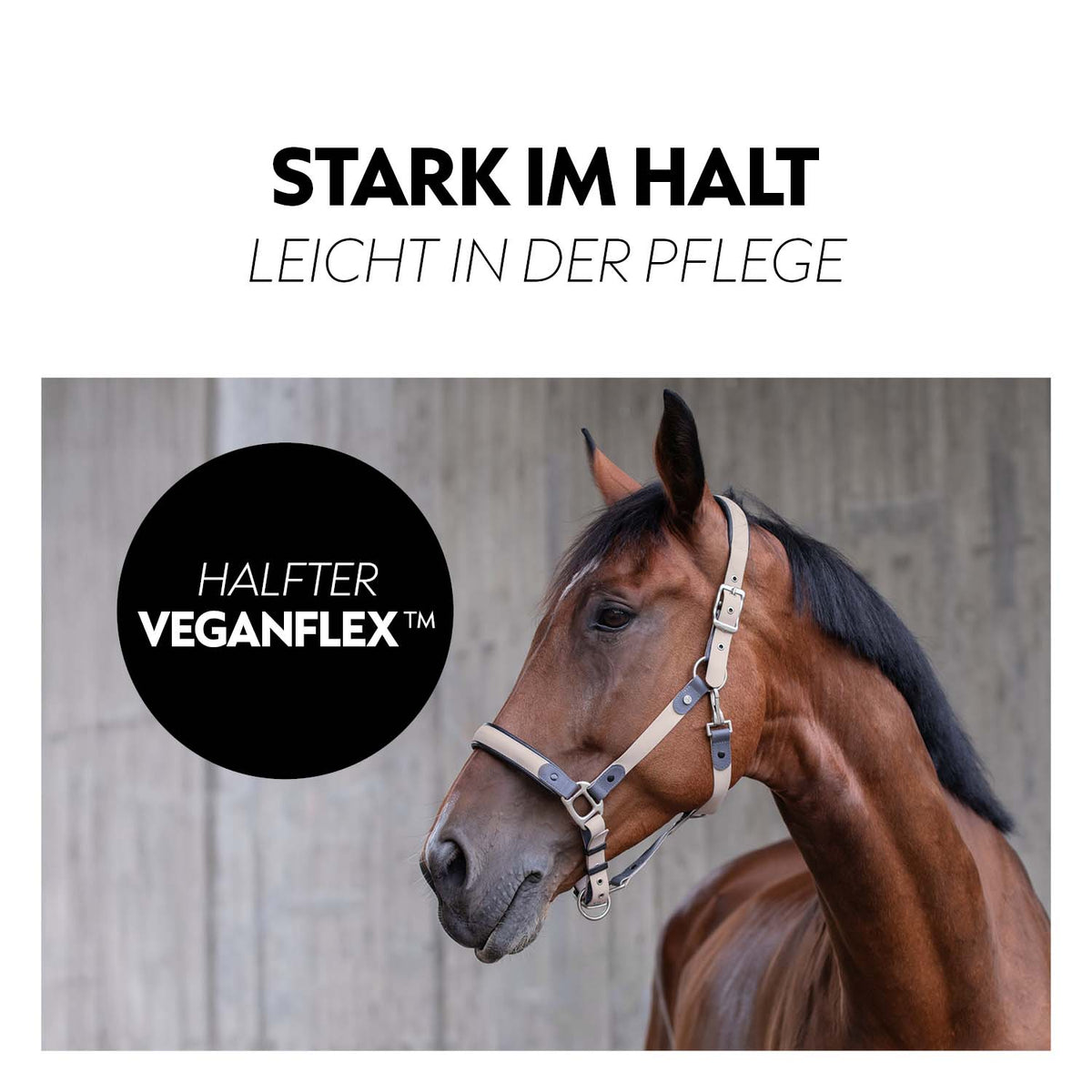 VeganFlex™ Halfter mit Strick