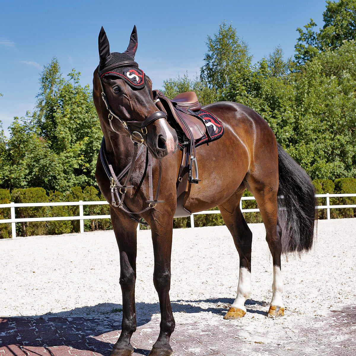Breastplate "Windsor" with martingale