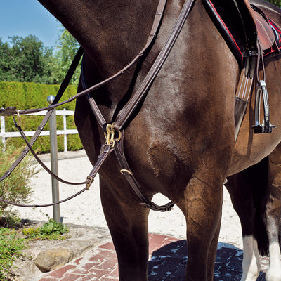 Breastplate "Windsor" with martingale