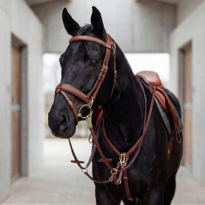 Breastplate "Windsor" with martingale