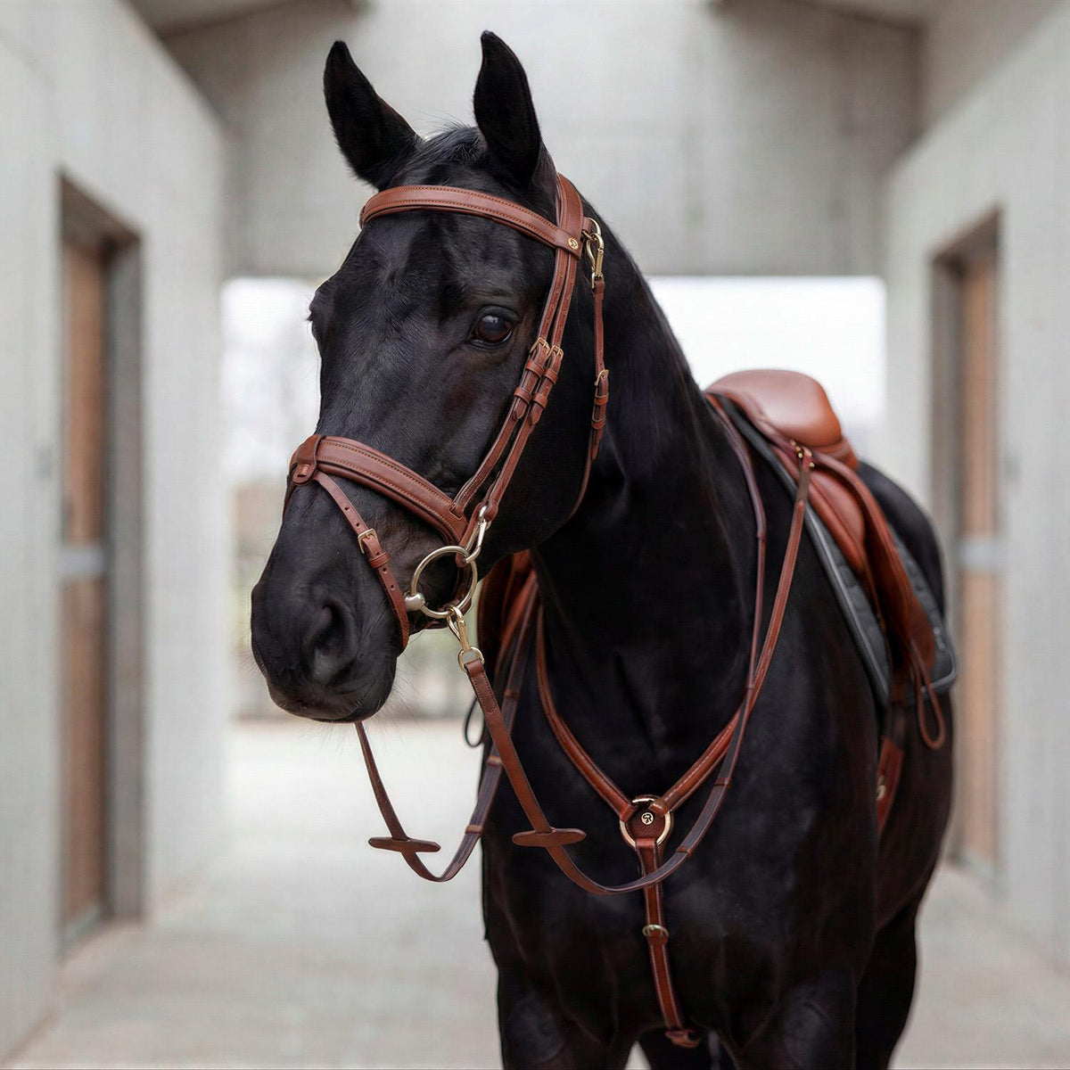 Breastplate "Windsor" with martingale