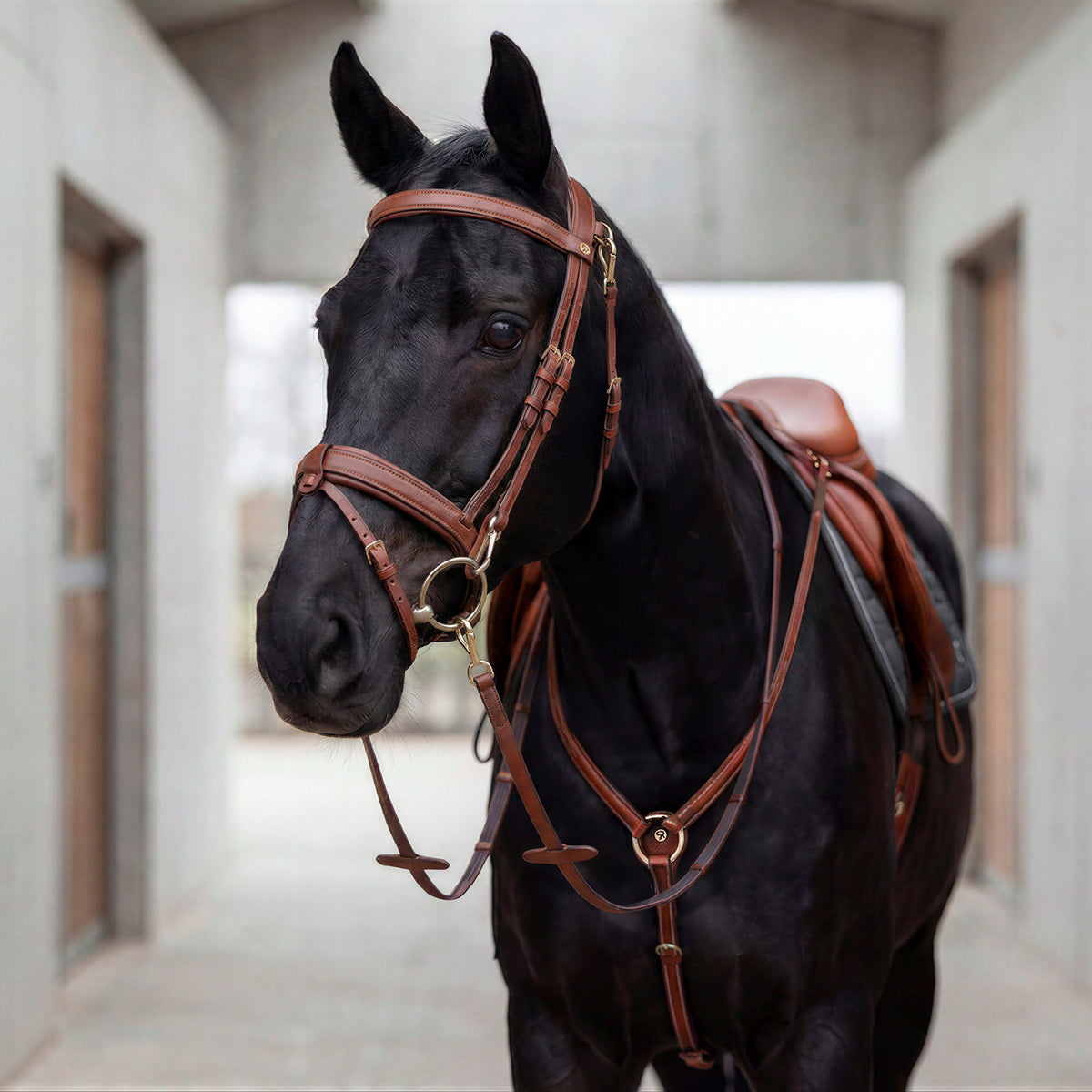 Breastplate "Windsor" with martingale