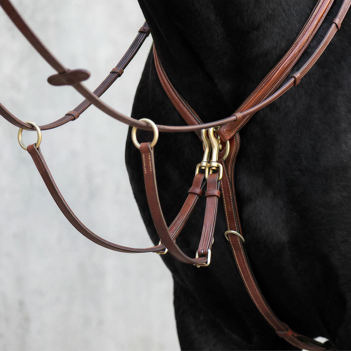 Breastplate "Windsor" with martingale