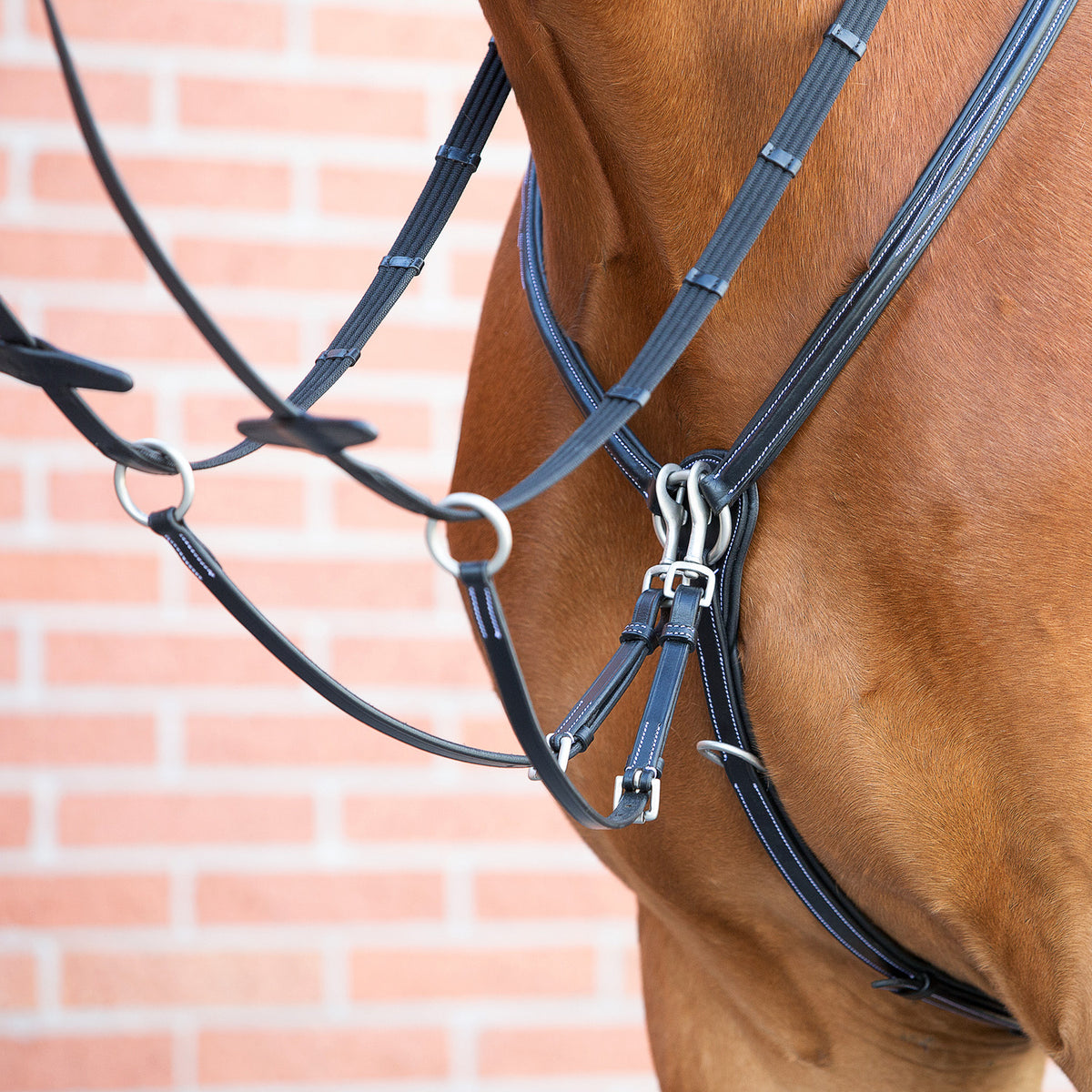 Breastplate "Windsor" with martingale