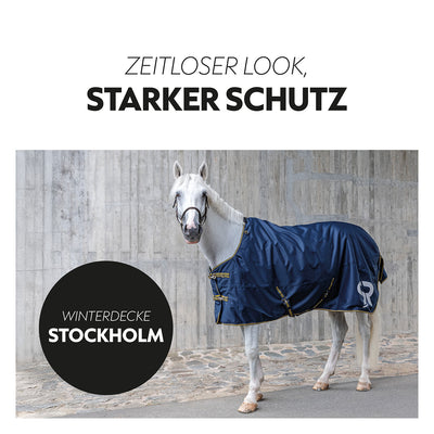 Winter blanket 100g "Stockholm" (1200D)