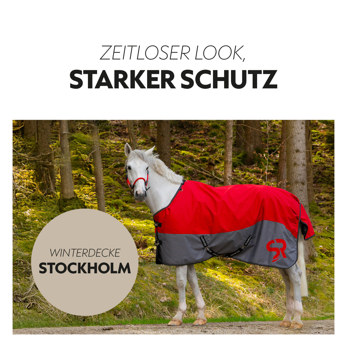 Winter blanket 100g "Stockholm" (1200D)