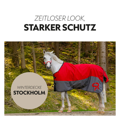 Winter blanket 100g "Stockholm" (1200D)
