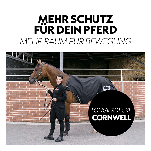 Führanlagendecke "Cornwell" (1200D)
