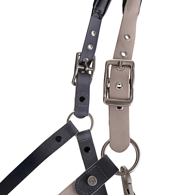 Biothane halter with lead rope