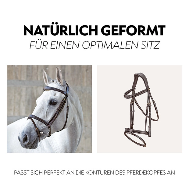 English combined bridle "London" with reins English combined bridle "London" with reins