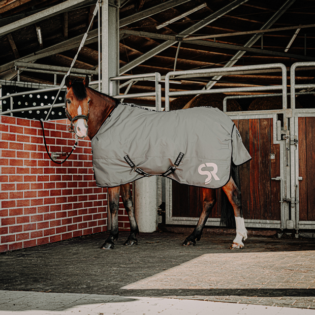 grey alaska winter rug with 450 grams filling and reflecting elements and red leather cord halter by sunride on a horse in front of a stable