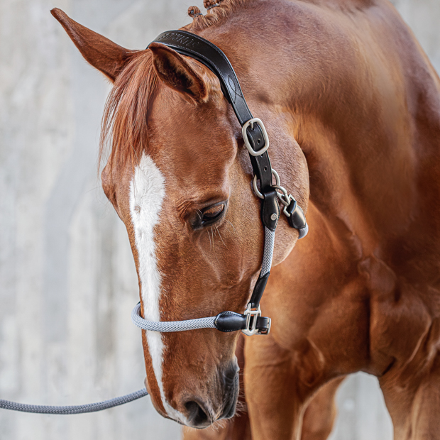 grey lead rope with panic snap by sunride with matching rope halter denver on a horse