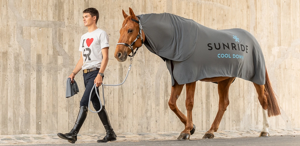 Kühldecke Cool Down  Ein Pferd wird an einer Betonmauer entlang geführt es das Pferd trägt die Kühldecke Cool Down