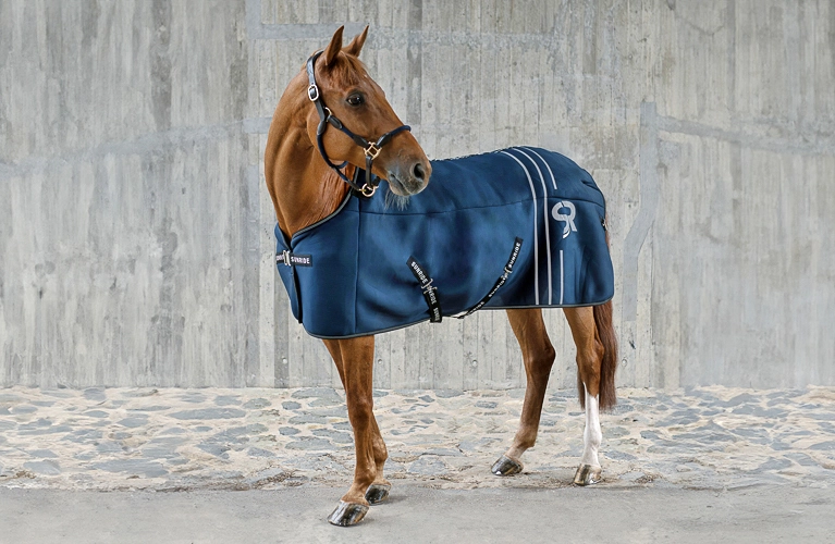 Unterdecke Ein Pferd steht vor einer grauen Betonwand und trägt eine blaue Unterdecke