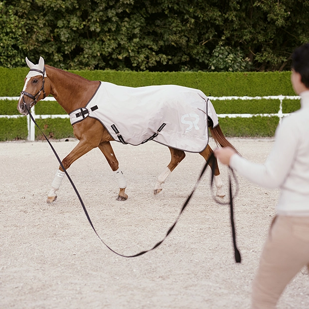 Eine Reiterin longiert ein Pferd das eine beige Führanlagendecke Cornwell von Sunride trägt