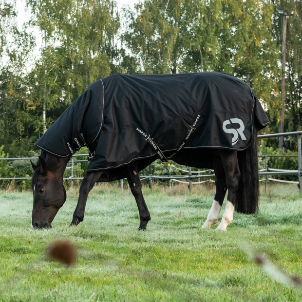 combination of black rain rug dublin with 50 grams filling and reflecting elements and the matching neck part by sunride on a horse in the meadows