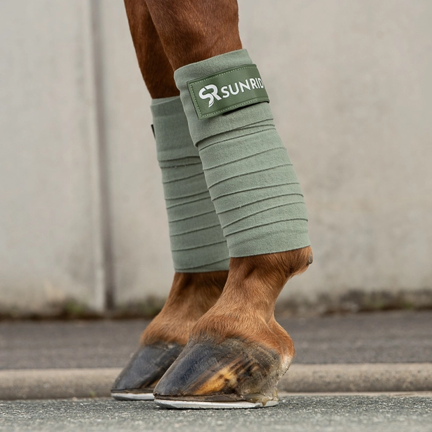 elastic fleece bandages olive on horse set of two elastic fleece bandages sunride in olive on horse leg