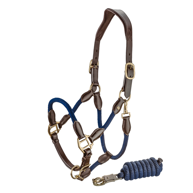 brown leather halter with blue ropes and golden mounting denver including lead rope by sunride