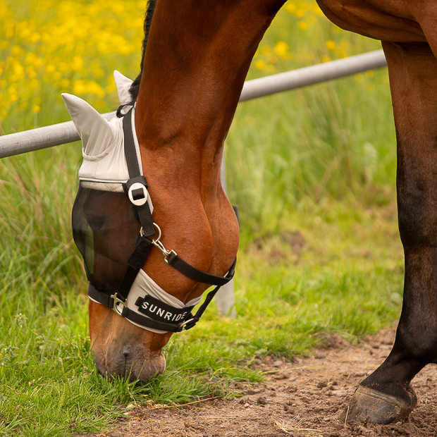 Fly Mask "Dubai"