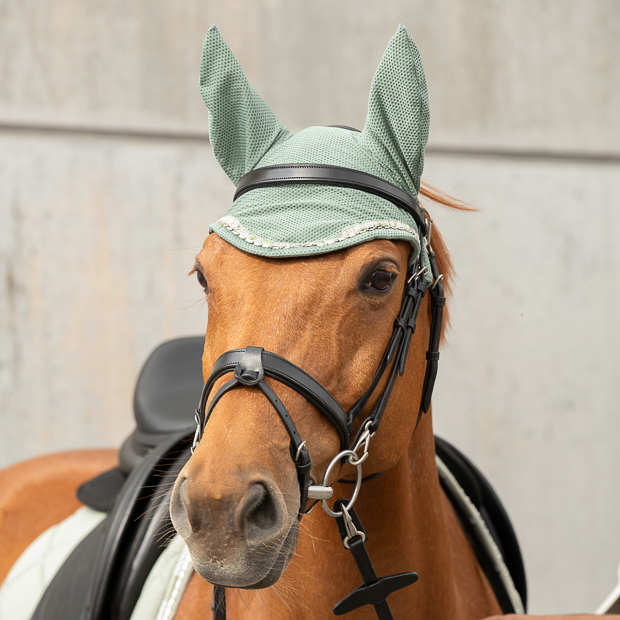 black berlin bridle with rounded elastic ear net and fly hood olive with gem stones wellington line by sunride on the horse