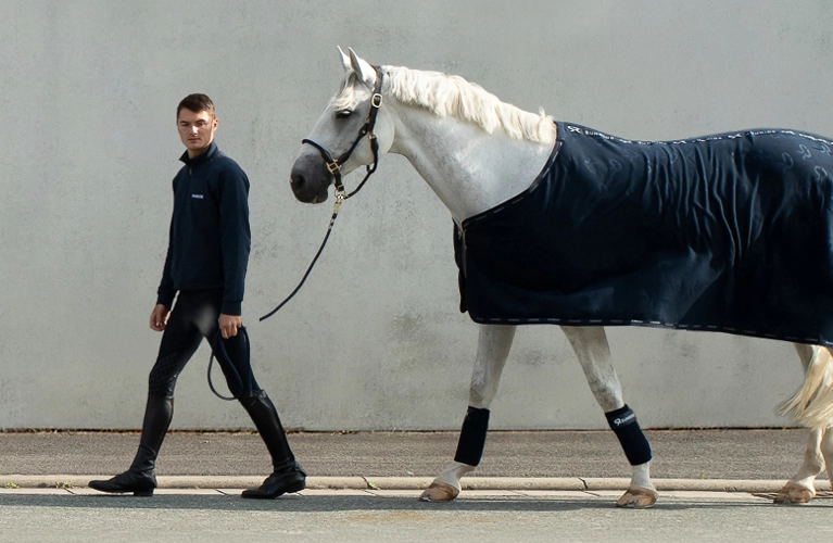 Ein Pferd mit SUNRIDE  Fleece Abschwitzdecke in Blau vor einer grauen Wand