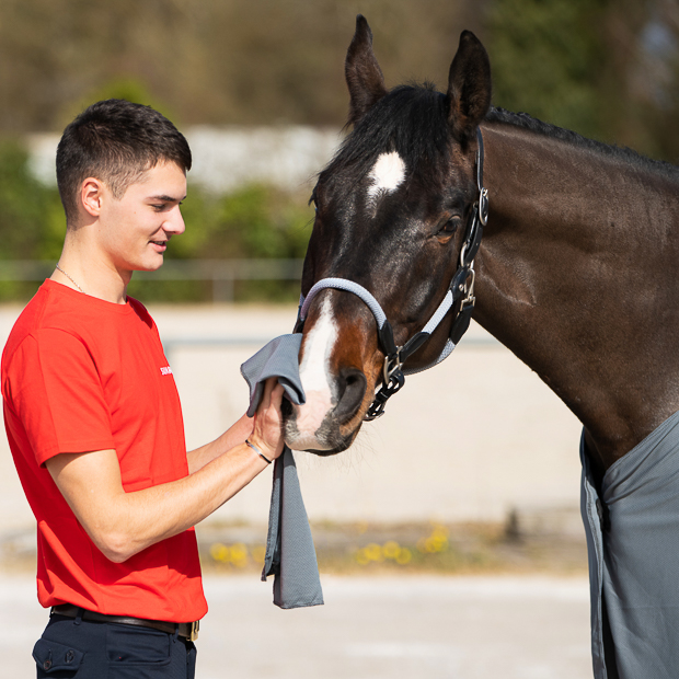 cooling rug and towel cool down in light grey by sunride with rider and horse