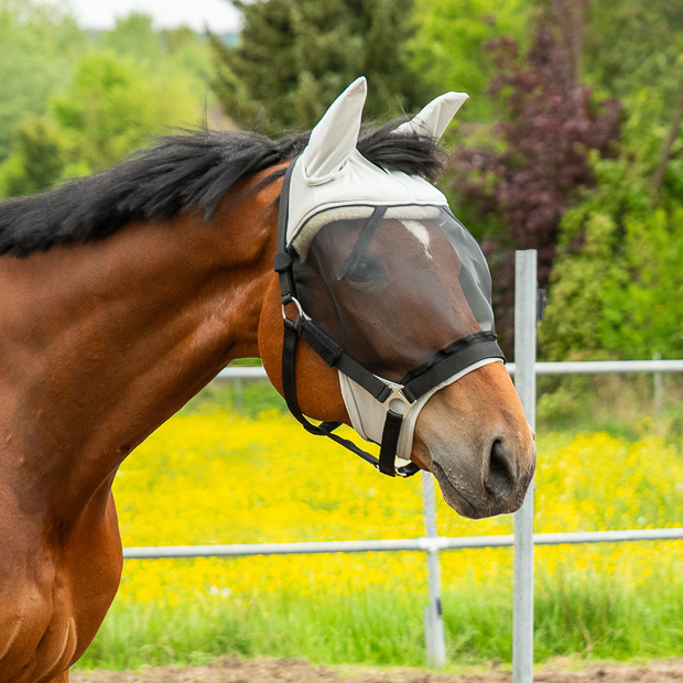 Fly Mask "Dubai"