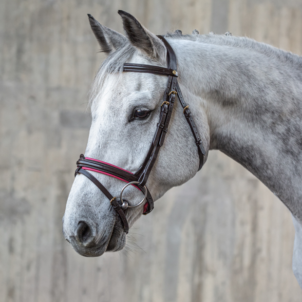 pink padded english combined brown leather bridle hawaii with golden mounting including reins on a horse