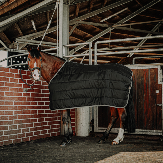 black under rug with 150 grams filling compatible with all sunride winter and rain rugs and brown leather halter dallas on a horse in front of stable