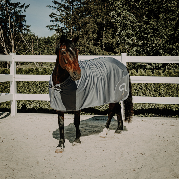 grey boston cooler rug with reflecting sr logo by sunride on the horse in a paddock
